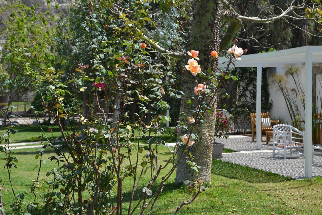 Hotel Los Palomos Lunahuaná Eksteriør billede